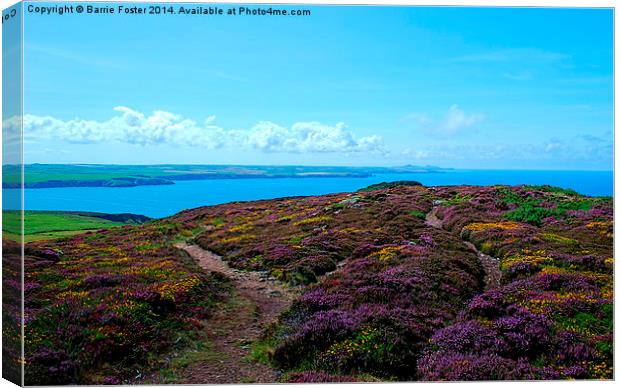  Penbwchdy, Pembrokeshire Canvas Print by Barrie Foster