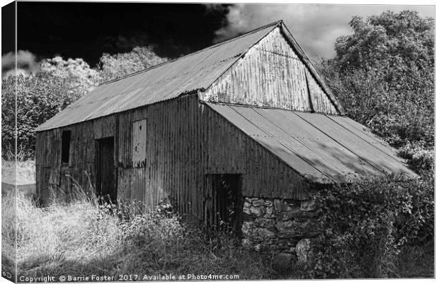WRIGGLY TIN: FARM SHED, MONO Canvas Print by Barrie Foster
