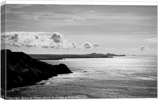 St Davids Head from above Pwllderi Canvas Print by Barrie Foster