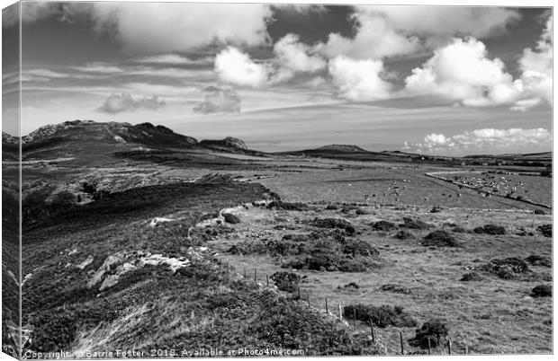 Garn Fawr and Garn Fechan from above Pwllderi Canvas Print by Barrie Foster