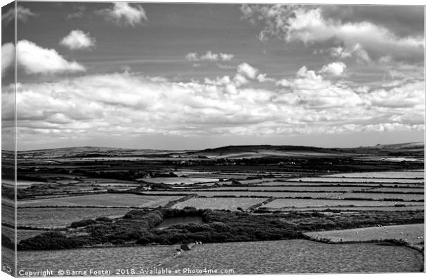 Pembrokeshire Pastoral Canvas Print by Barrie Foster