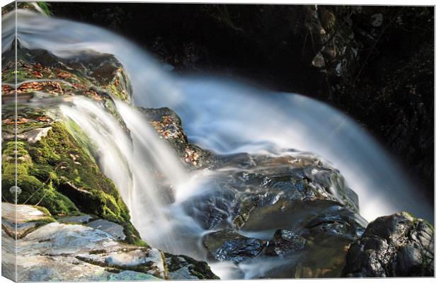 Sunny Morning at Aira Force Canvas Print by Tony Dimech