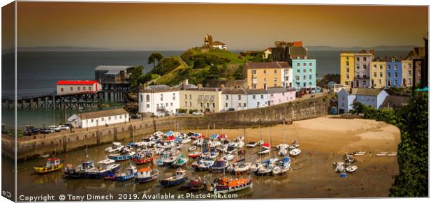 Sunset at Tenby Harbour Canvas Print by Tony Dimech