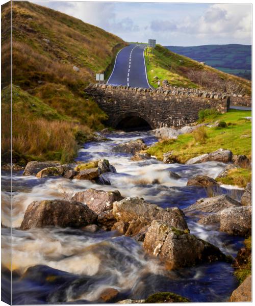 The Afon Clydach on the Black Mountain Canvas Print by Leighton Collins