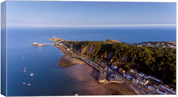 Mumbles headland by drone Canvas Print by Leighton Collins