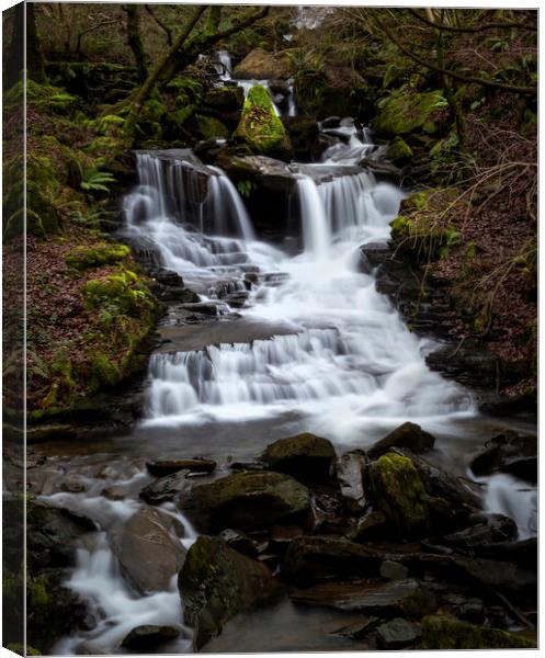 Melincourt Brook falls Canvas Print by Leighton Collins