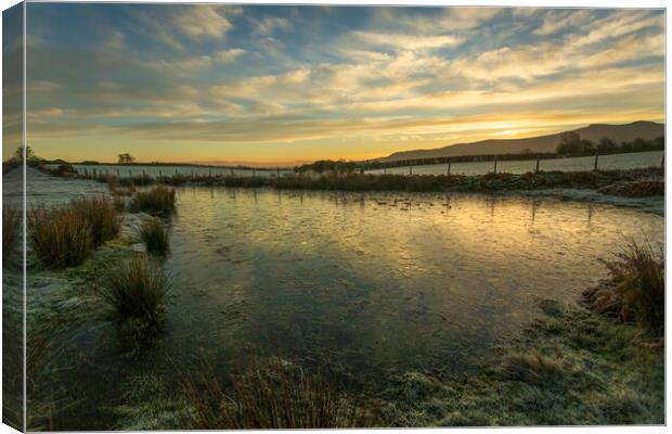 Ice and frost on the Brecon Beacons Canvas Print by Leighton Collins