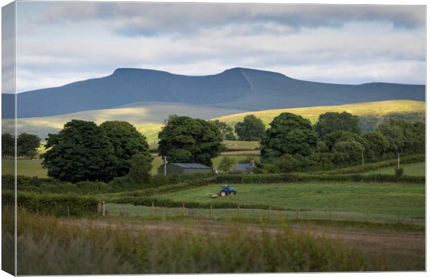 Farming in the Brecon Beacons Canvas Print by Leighton Collins