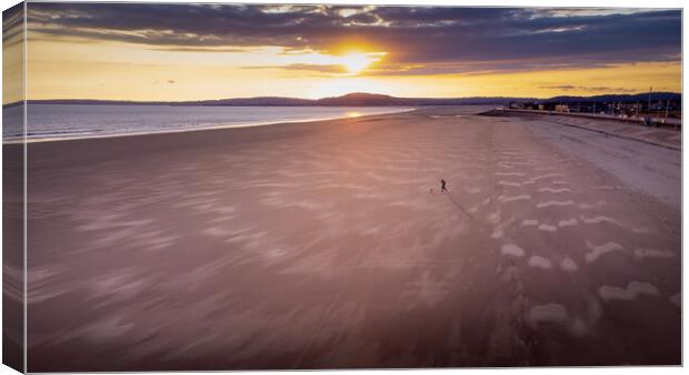 Alone on a beach Canvas Print by Leighton Collins