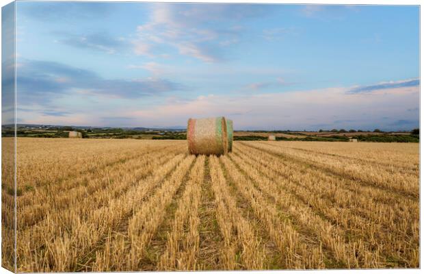 Hay bales in West Wales Canvas Print by Leighton Collins
