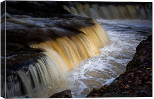 Horseshoe falls in Autumn Canvas Print by Leighton Collins