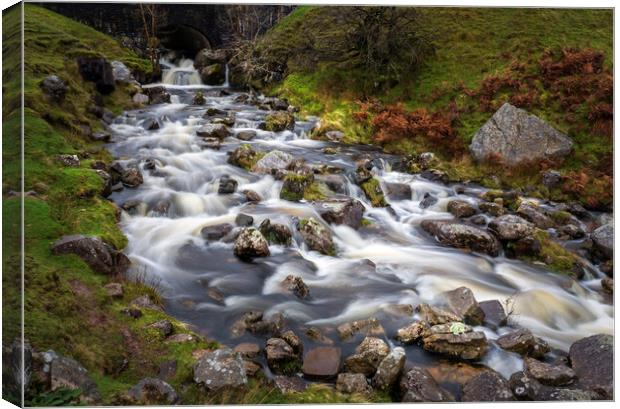 The Afon Clydach after heavy rain Canvas Print by Leighton Collins