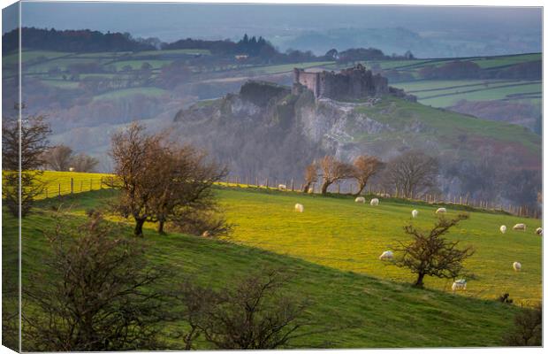 Sheep at Carreg Cennen castle Canvas Print by Leighton Collins