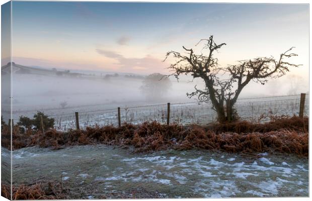 A bare tree in Winter Canvas Print by Leighton Collins