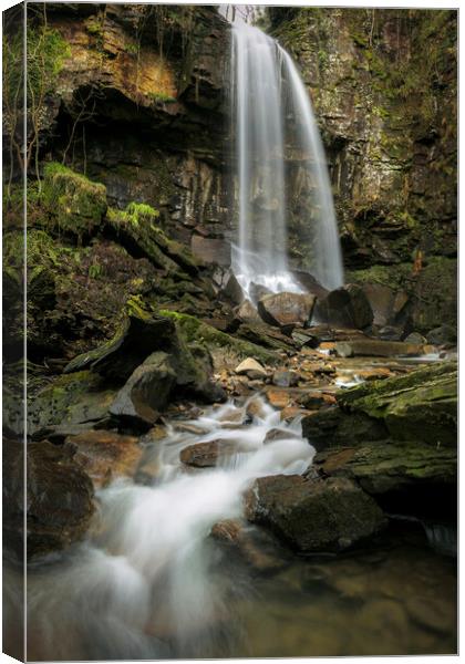 Melincourt waterfall Canvas Print by Leighton Collins