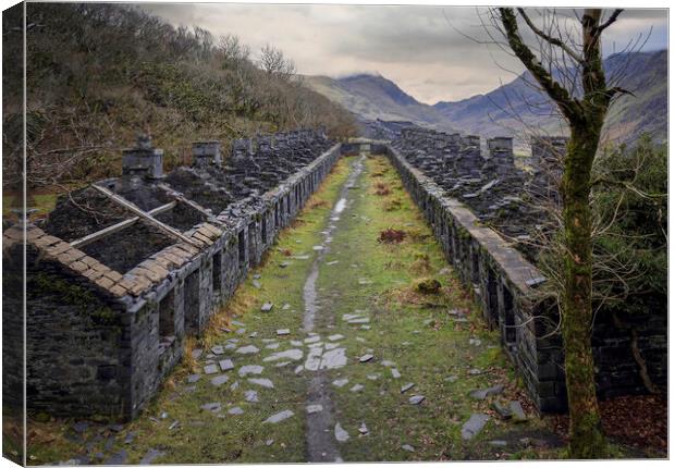 Slate cottages of Dinorwic Canvas Print by Leighton Collins