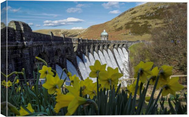 Elan Valley in Spring Canvas Print by Leighton Collins