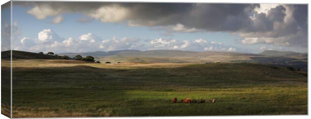 Highland cows on the Brecon Beacons Canvas Print by Leighton Collins
