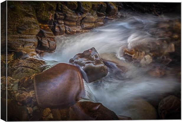 Smooth rocks and running water Canvas Print by Leighton Collins
