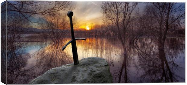 The sword in the stone at Llangorse Lake Canvas Print by Leighton Collins
