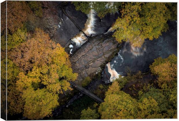 The Horseshoe falls from above Canvas Print by Leighton Collins