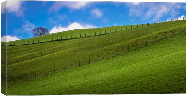 Green fields and blue sky Canvas Print by Leighton Collins