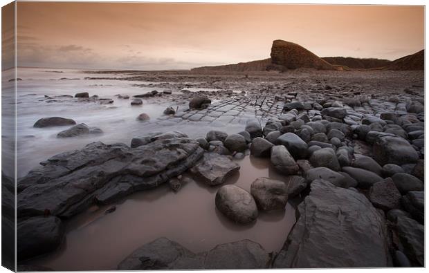 Nash Point South Wales Canvas Print by Leighton Collins