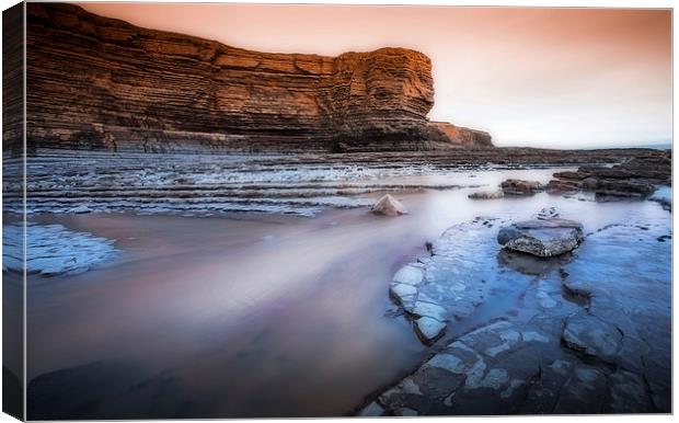 Heritage coast South Wales Canvas Print by Leighton Collins