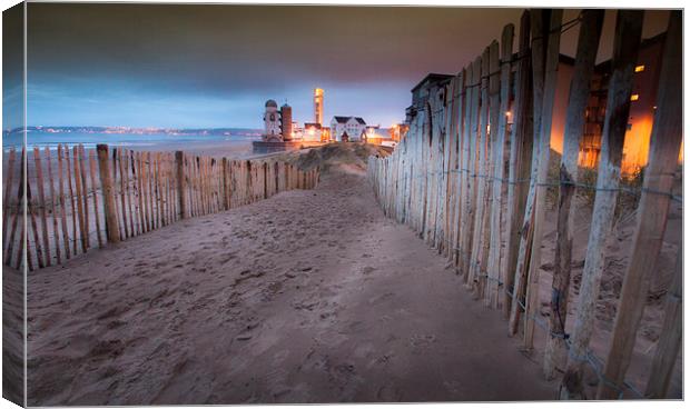 Swansea Bay coastal path Canvas Print by Leighton Collins