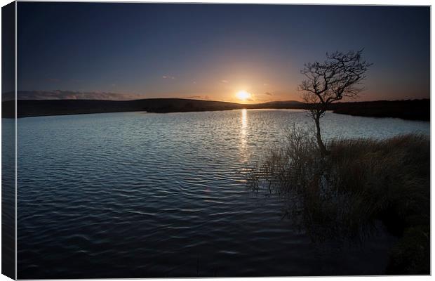 Broad Pool North Gower Canvas Print by Leighton Collins