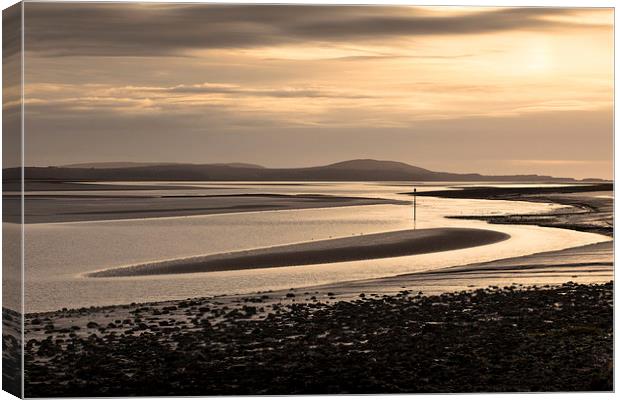 Loughor estuary mudbanks Canvas Print by Leighton Collins