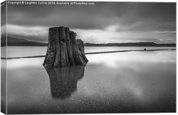 Comox lake BC Canvas Print by Leighton Collins