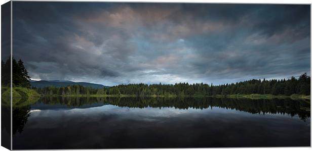 Maple lake Vancouver island Canvas Print by Leighton Collins