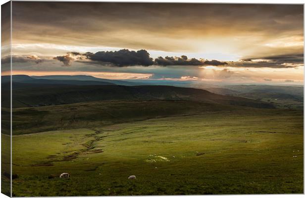 The Brecon Beacons in south Wales. Canvas Print by Leighton Collins