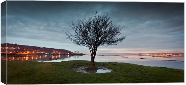  Penclawdd tree Canvas Print by Leighton Collins