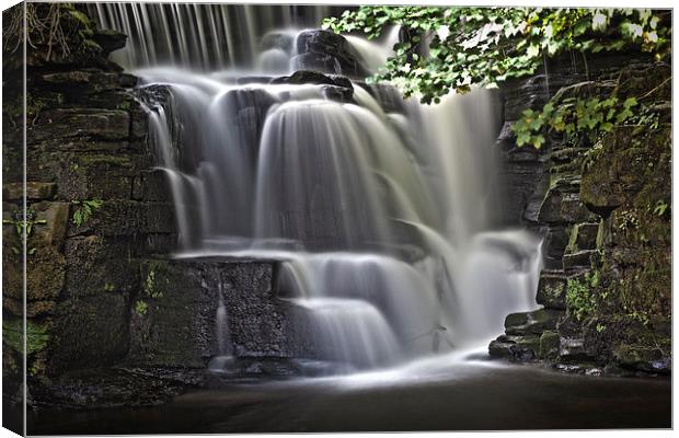  River Clydach waterfalls in HDR Canvas Print by Leighton Collins