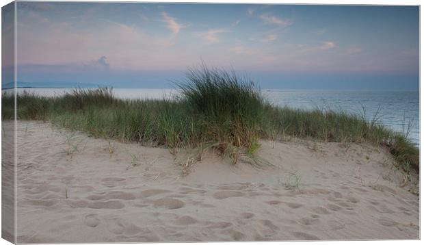  Swansea bay grass and sand dunes Canvas Print by Leighton Collins