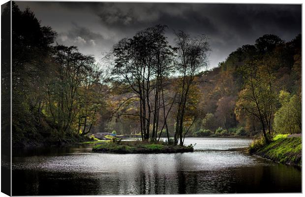  Upper lake Penllergaer woods Canvas Print by Leighton Collins