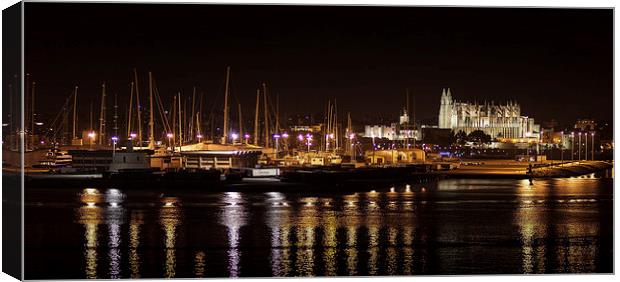  Cathedral of Santa Maria of Palma Canvas Print by Leighton Collins