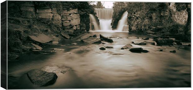  Penllergaer falls Swansea Canvas Print by Leighton Collins