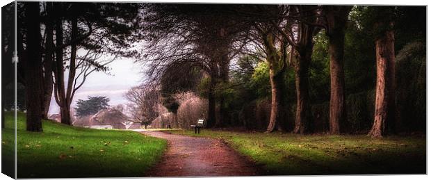  Ravenhill park Canvas Print by Leighton Collins