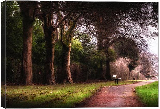 Ravenhill park bench Canvas Print by Leighton Collins