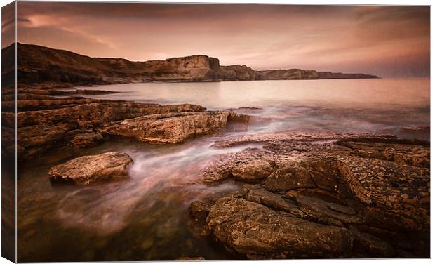  Fall Bay Gower Canvas Print by Leighton Collins
