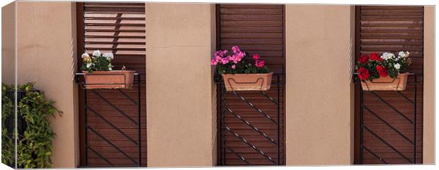  Spanish window boxes Canvas Print by Leighton Collins