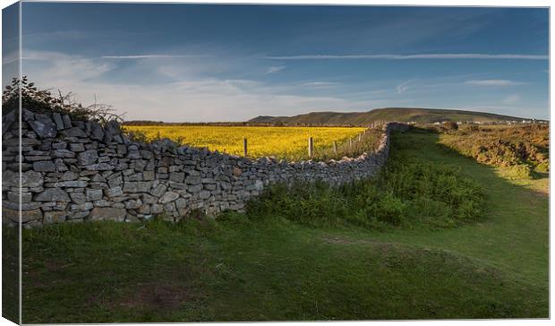  Dry stone wall Canvas Print by Leighton Collins