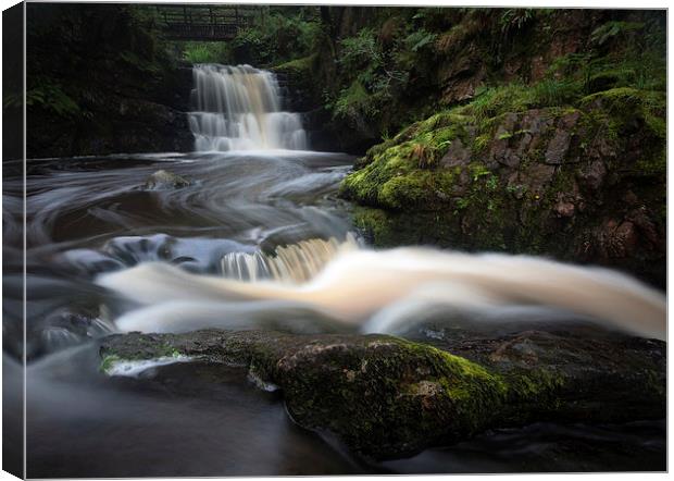  Waterfall behind Dinas Rock Canvas Print by Leighton Collins