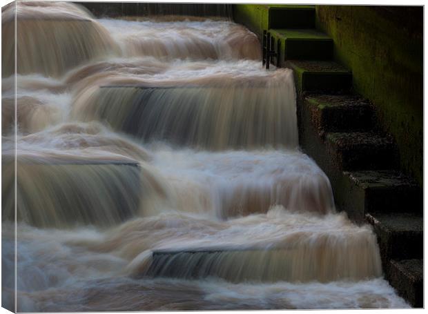  Fish Ladder Canvas Print by Leighton Collins