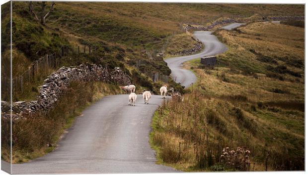  Welsh mountain road Canvas Print by Leighton Collins