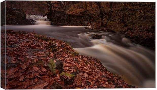  Waterfall Country South Wales Canvas Print by Leighton Collins