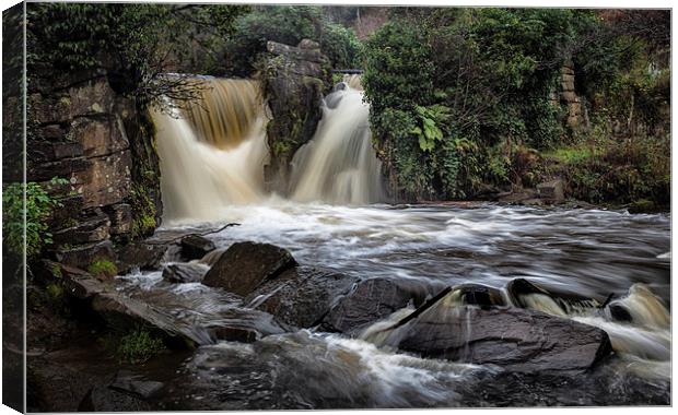  Swollen Penllergare Waterfall Canvas Print by Leighton Collins
